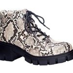 Dirty Laundry NO DOUBT faux leather snake embossed combat boots goth Photo 0