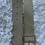 Eloquii  Gold Metallic Belt Stretch Snakeskin Embossed Sz 18/20 Photo 3