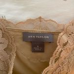 Ann Taylor  Cami Lace Top  Photo 2