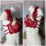 Red Pink Sheer Lace Embroidered Floral Bra Ruffle Adjustable Straps Size XL Photo 4