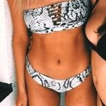 Snake Print Bikini Black Size M Photo 0