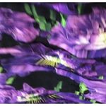 Gucci NWT Poppy Floral Short Dress Size IT 38 Photo 7