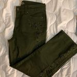 st. john's bay Size 8 Straight Leg Ankle Cropped Dark Green Photo 0