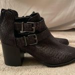 EXPRESS Snakeskin Booties Photo 0