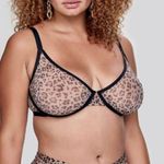 CUUP Plunge Bra leopard print mesh womens Brown (size 34D) intimates sheer sexy Photo 2