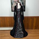 None Funky Victorian Gothic Velvet Costume! Photo 2