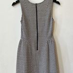 Black + White Printed Fit and Flare Dress Photo 1