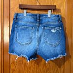 Eunina  Blue Distressed Jean Shorts Photo 2