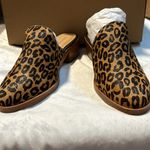 Soludos NIB Venetian Mules in leopard Photo 2