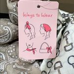 Frazier Sterling | Paisley & Equestrian Themed Scarfs (set of 2) Brown Photo 4