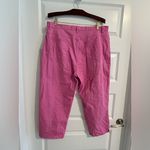 Nordstrom  Cropped Pants Pink Size 18 Photo 1
