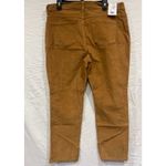 Gloria Vanderbilt  Amanda Slim Corduroy Jeans Womens 18 Petite Cider Spice Photo 3