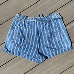 American Eagle Striped Denim Shorts Photo 8