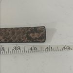 Jessica Simpson  Brown Snake Print Belt with Gold Buckle Photo 5