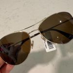 Kate Spade  Brown Aviator Sunglasses with Double-Bridge Design Photo 12