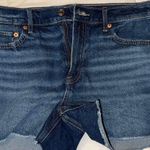 American Eagle Relaxed Short Photo 0