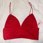 My Kim Collection Cherry Wine Crop Top Photo 0