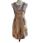Eliza J  Metallic Cocktail Dress Sleeveless Gold Mixed Media Fairy Photoshoot 2 Photo 2