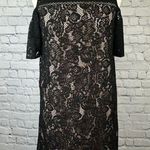 Loft  Boudoir Lace Cold Shoulder Black Nude Dress size 4 NEW NWT Photo 0