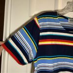 Jason Maxwell  Blue Multicolor Striped Short Sleeve Tee 1X Photo 3