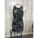 Forever 21  black laced dress Photo 1