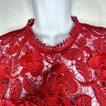 Lovers + Friends  Mon Amor Red Lace Overlay Mini Dress - Size Medium Photo 5