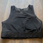 Steve Madden  Sports Bra Photo 1