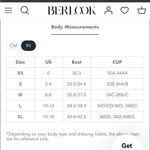 Berlook Cyan Mesh Underwire Bikini Set Green Photo 7