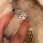 UGG  Disquette Platform Slippers Chestnut Women’s Photo 6