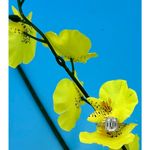 2 carat Moissanite Triangular Cut Ring with Moissanite Accents Size 7 Silver Photo 2