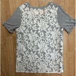 J.O.A. Los Angeles Lace Back Gray Front Tshirt Short Sleeve Crewneck Sheer Back S Photo 1