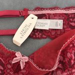 Victoria's Secret New Y2K Victoria’s Secret Suspender Garter Belt Size Medium Large Red Pink Vtg Photo 5