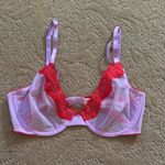 Victoria's Secret  Tease Mesh Red and Pink Lace Bra Photo 0