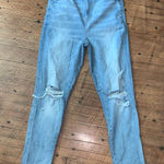 American Eagle 000 normcore curvy straight mom jeans Photo 0