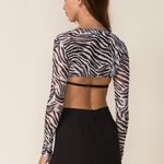 Isabelle's Cabinet  Call You Mine Zebra Bra Top  Photo 4