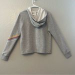 Disney ⭐️ Parks Disneyland resort vintage look crop hooded sweatshirt size medium Photo 5