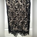 EXPRESS Lace Floral Sleeveless Mini Dress S Photo 2