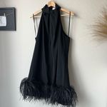 16Arlington Dress Feather Trim Black Cynthia Mini Dress Size US‎ 10 UK 14 Photo 1