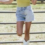 Vestique Shorts Photo 1