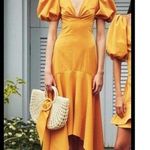 Sachin + Babi ๐๐ Layla Dress ~ Puff Sleeve Gown Desert 6 NWT Photo 1