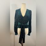 NWT Toccin Louisa Velvet Burnout Top‎ in Teal Black Sz 4 $395 Green Photo 2
