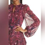 Ted Baker London | Verino Floral Print Tiered Minidress, Size 2 Photo 2