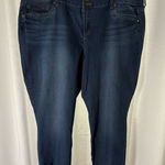 Torrid Stretch Jeans Denim Skinny Triple button Size 24 EUC Photo 0