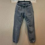 Talentless  Steel Gray Heavyweight Jogger Sweatpants Photo 2