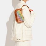 Coach  Rainbow Print Pride Purse Photo 4