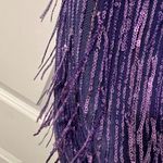 Francesca's Purple Sequin Fringe Francesca’s Dress Photo 3