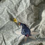 Disney  Eeyore Blue Women’s Sleep Shorts Photo 1