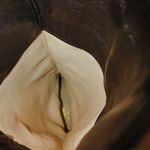 Coach  Tall Riding Boots Classic Genuine Leather Fabric Brown Khaki Beige Vintage Photo 11