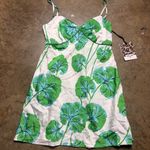 Diane Von Furstenberg NWT  DVF Target Slip Dress Nighty Geranium Leaf Size:XXS Photo 0