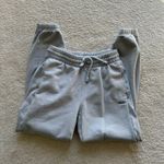 Aritzia  TNA Sweatfleece Boyfriend Joggers Photo 0